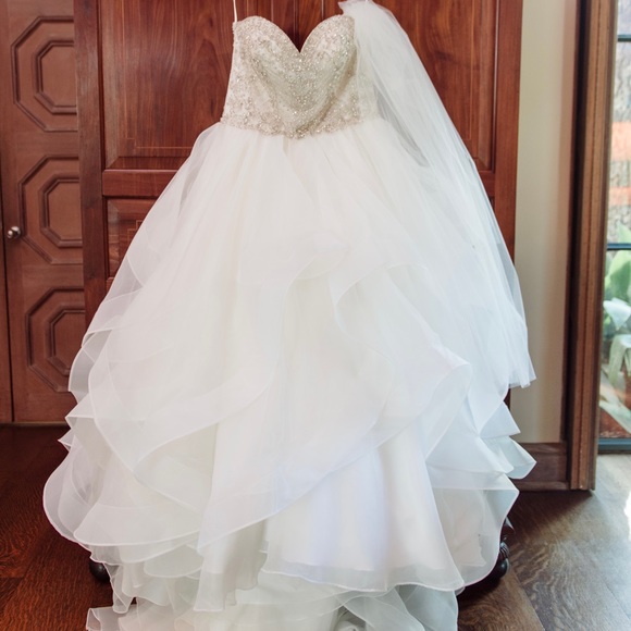 Eddy K Couture CT154 - Picture 1 of 5